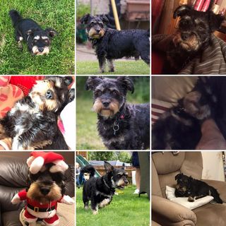 Caralynn Green's avatar