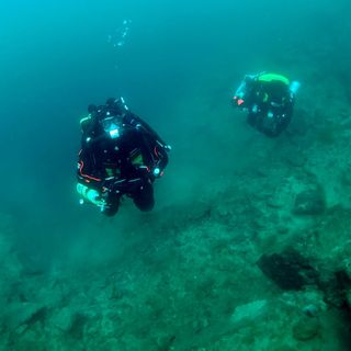 Liam Dunford's avatar