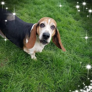 Janet Janes's avatar