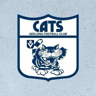 David Haylett's avatar