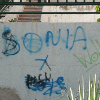 Sonia Anderson's avatar