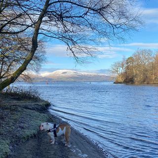 Helen Lupton's avatar