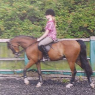 Sarah Southey's avatar