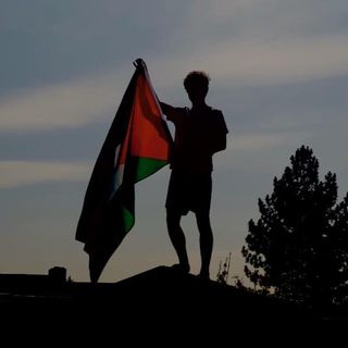 Sulayman Sayes's avatar