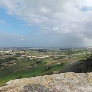 Dianne Cupido's avatar