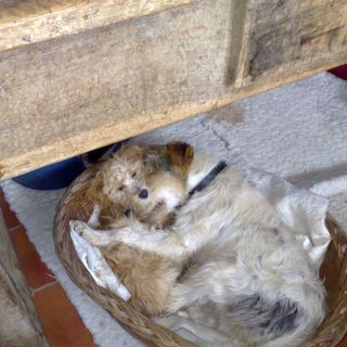 Mary Engelen's avatar