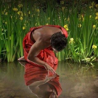 Vitauts Gerkis's avatar