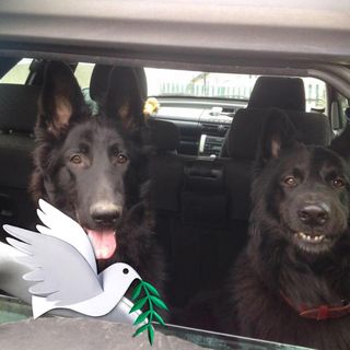 Lisa Marie Child's avatar