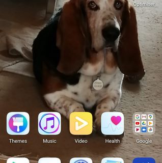 Steve Miller's avatar