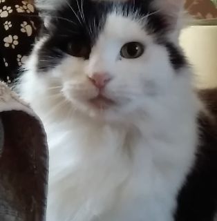 Sussanne Penfold's avatar