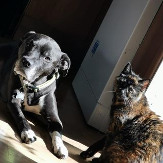 Michelle Buck's avatar