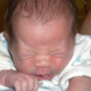 Lu Lu Louise's avatar