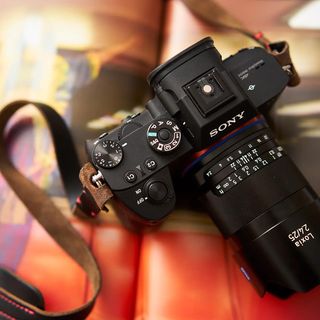 David Blades's avatar