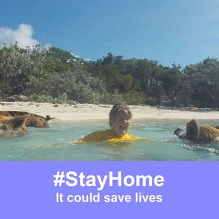 Anne Horsburgh's avatar