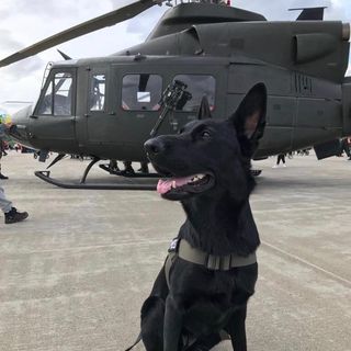 Guven Gurkan's avatar