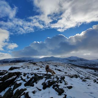 Kylie Anne Heawood's avatar