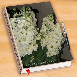 Ani Tudorache's avatar