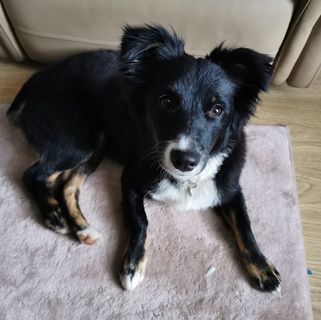 Martin Rowlands's avatar