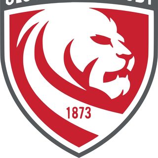 Anton Ponting's avatar