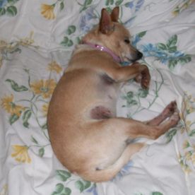 Denis Clark's avatar