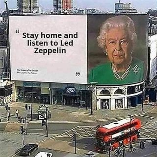 Figen Davies's avatar