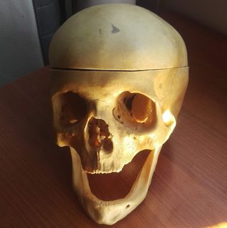Radek Chwistek's avatar