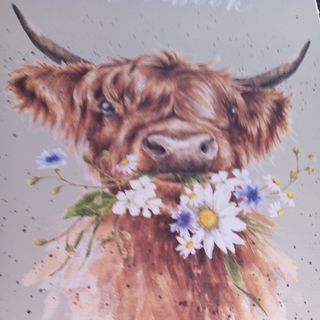 Lucy Vanburg's avatar