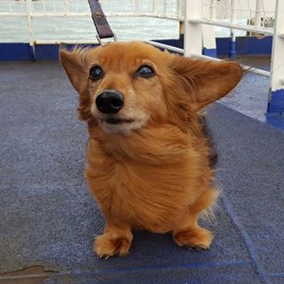 Carole Anne's avatar