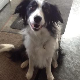 Irene Ruthven's avatar