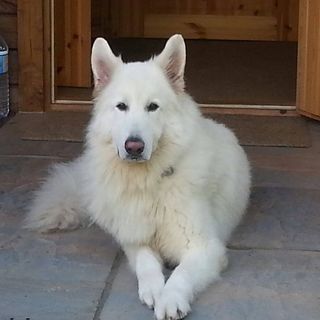 Lorna McAllister's avatar