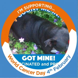 Judith Clifford's avatar