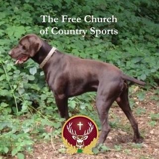 Frank Bojda's avatar