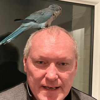 Phillip Bate's avatar