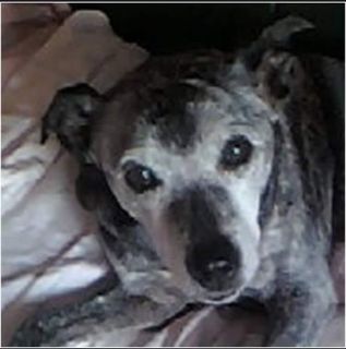 Adrian Breakwell's avatar