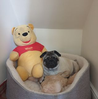 Joshy Varghese's avatar