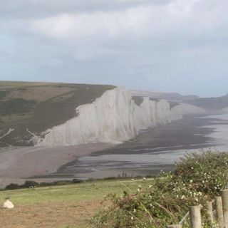 Patricia Blunt's avatar