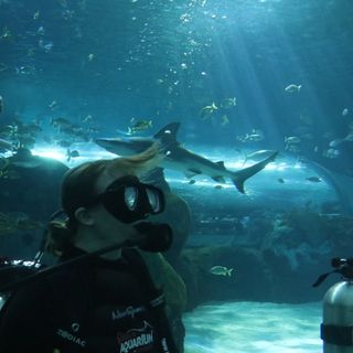 Natalie Lamb's avatar