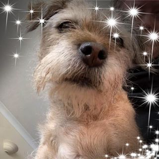 Tracy Hathaway's avatar