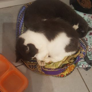 Karen Scarratt's avatar