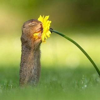 Debra Andrews's avatar