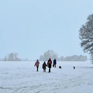 Dawn Harding's avatar