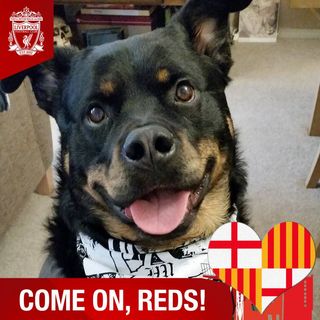 Tracy Richardson's avatar