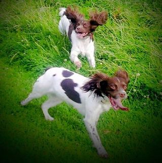 Paul McHugh's avatar