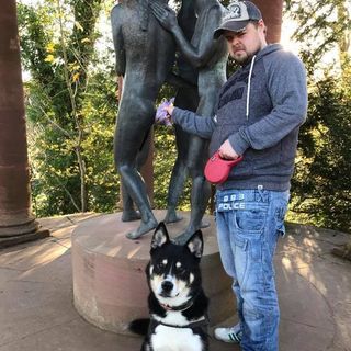 Nevets Naginnarb's avatar