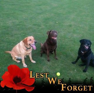 Colin Tabor's avatar