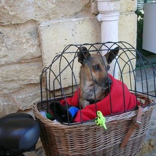 June Watson's avatar