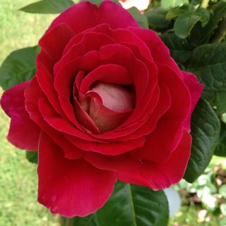 Barbara Ewa's avatar