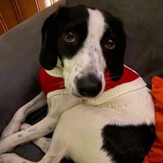 Claire Turner's avatar