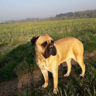 Claire Bourne's avatar