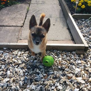 Michael Campbell's avatar